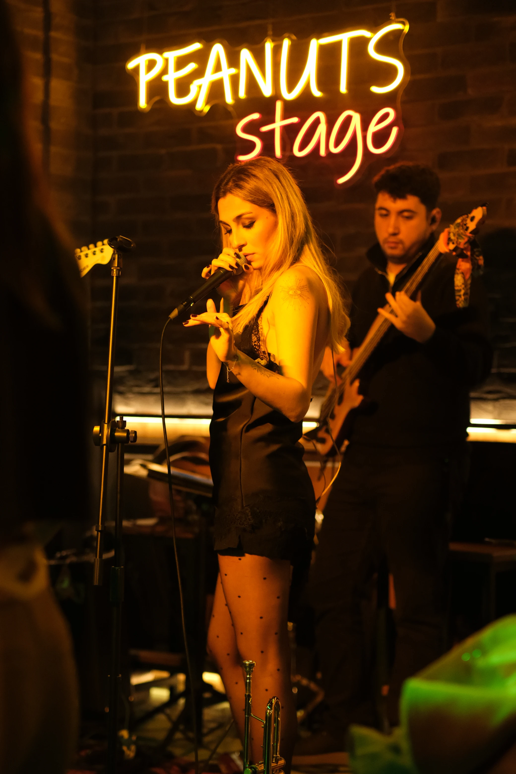 Peanuts galeri fotografi 10