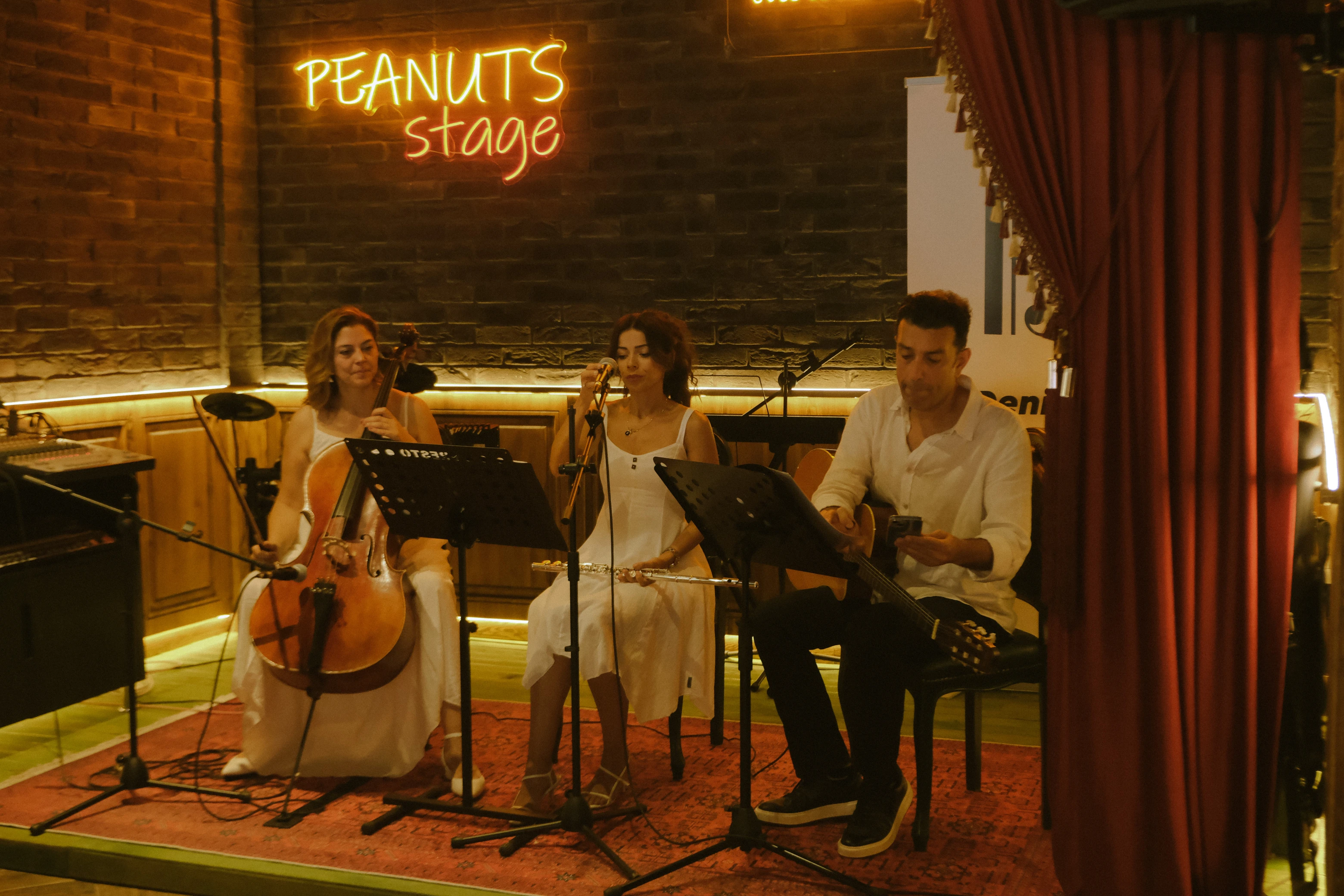 Peanuts galeri fotografi 8